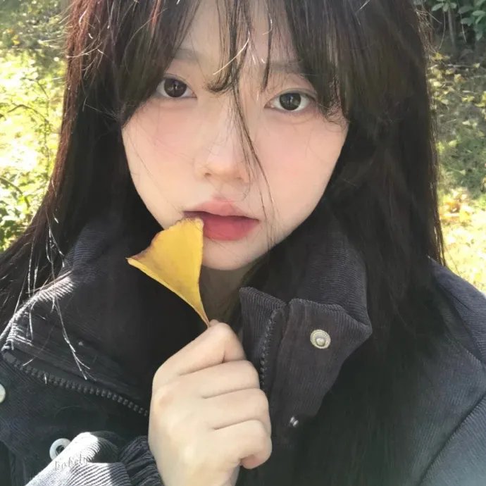 小虎还乡